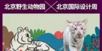 _以太坊钱包是冷钱包还是热钱包_安全的以太坊钱包
